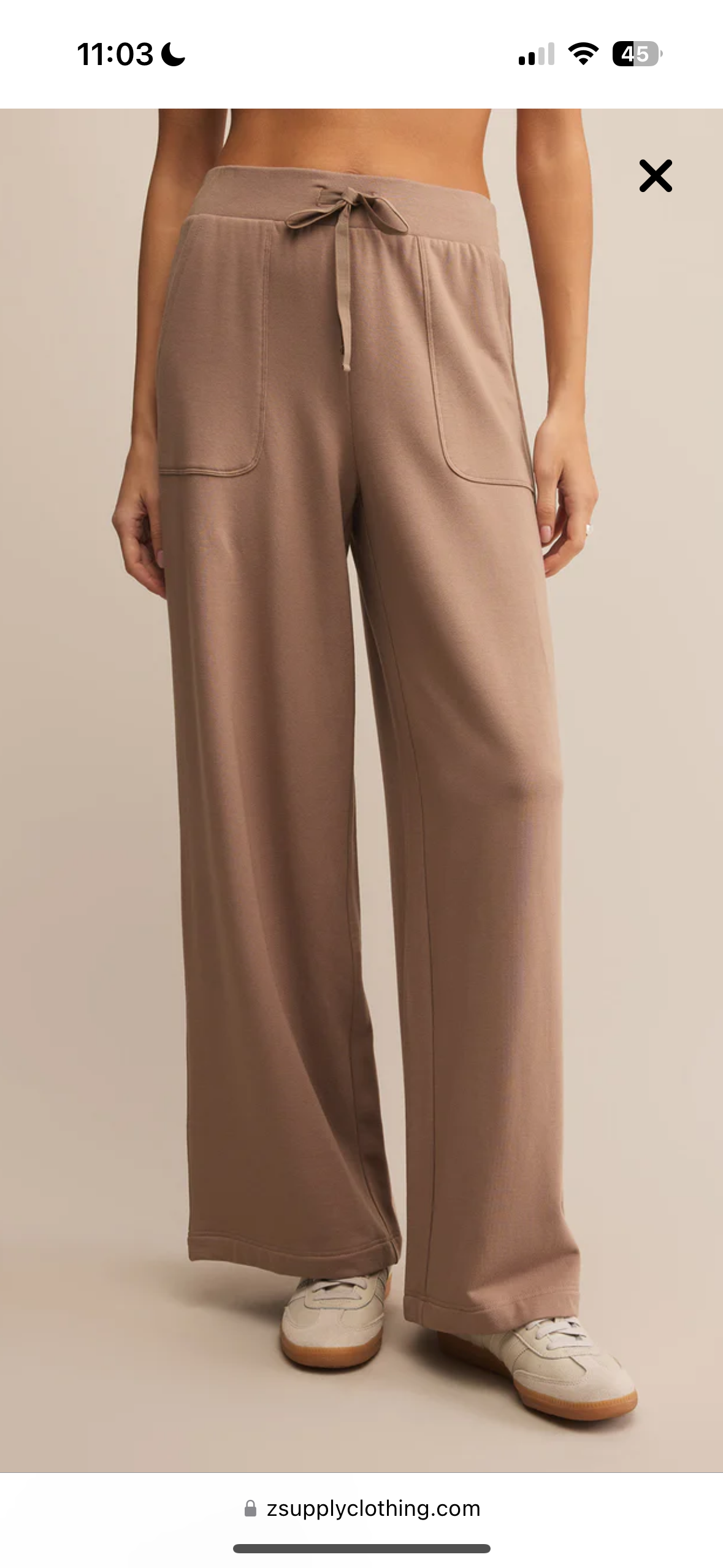 Layover Pant by Z Supply