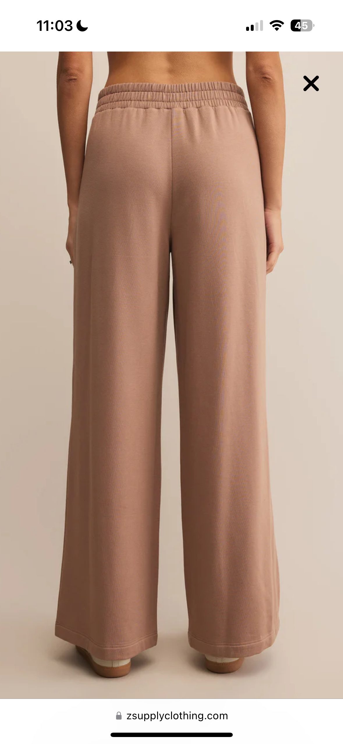 Layover Pant by Z Supply