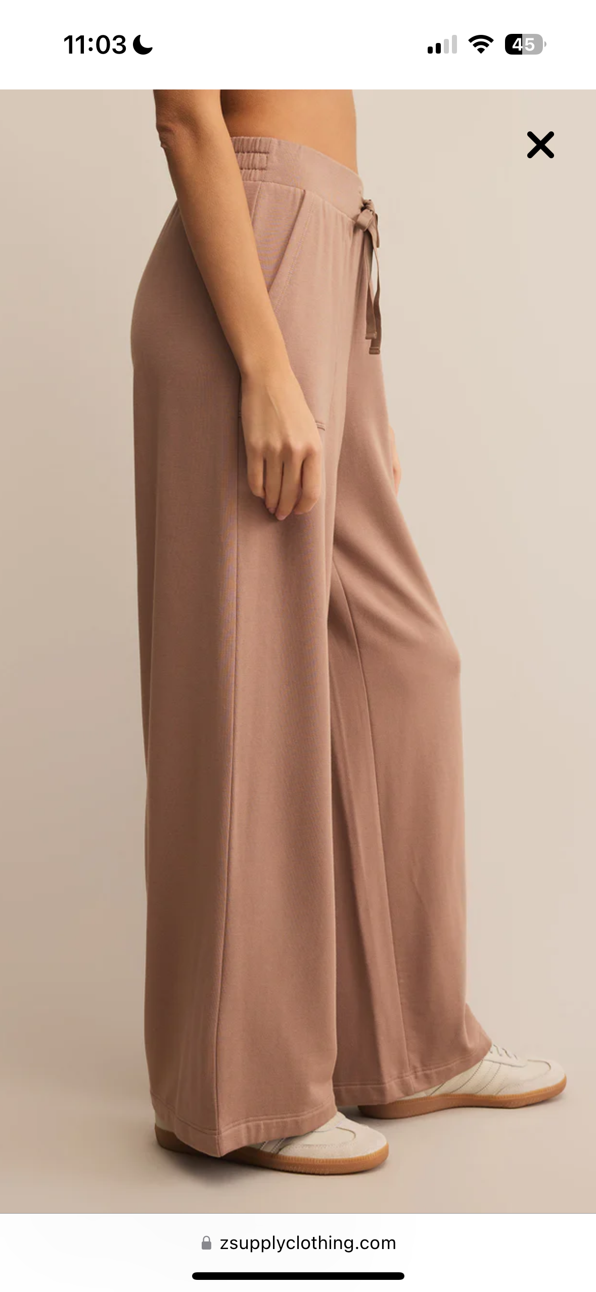 Layover Pant by Z Supply