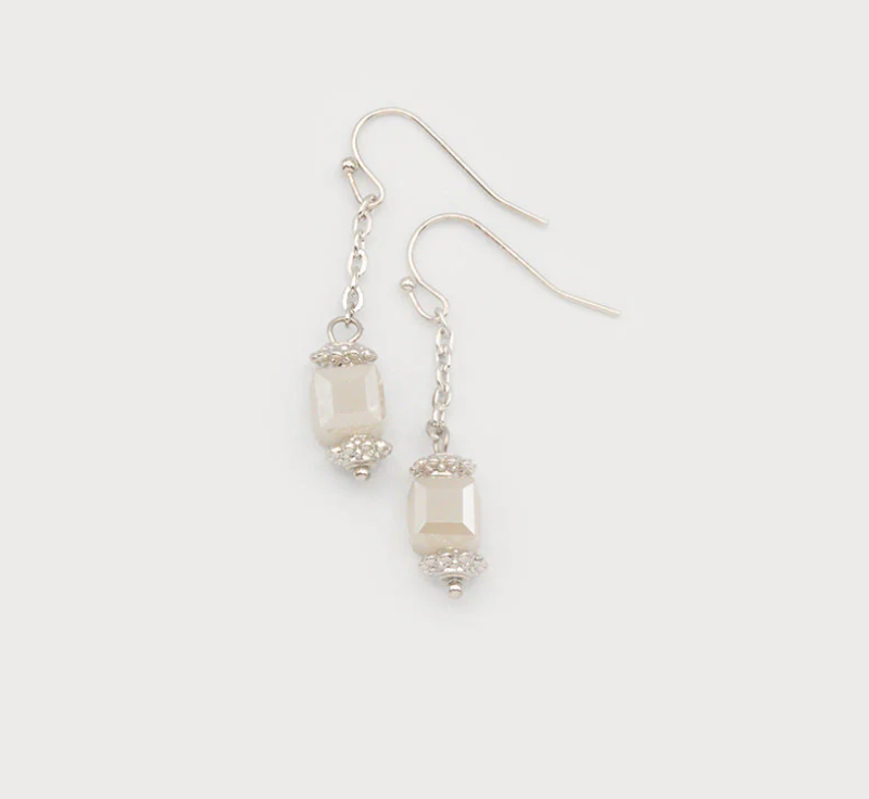 Delicate Earrings on a Hook