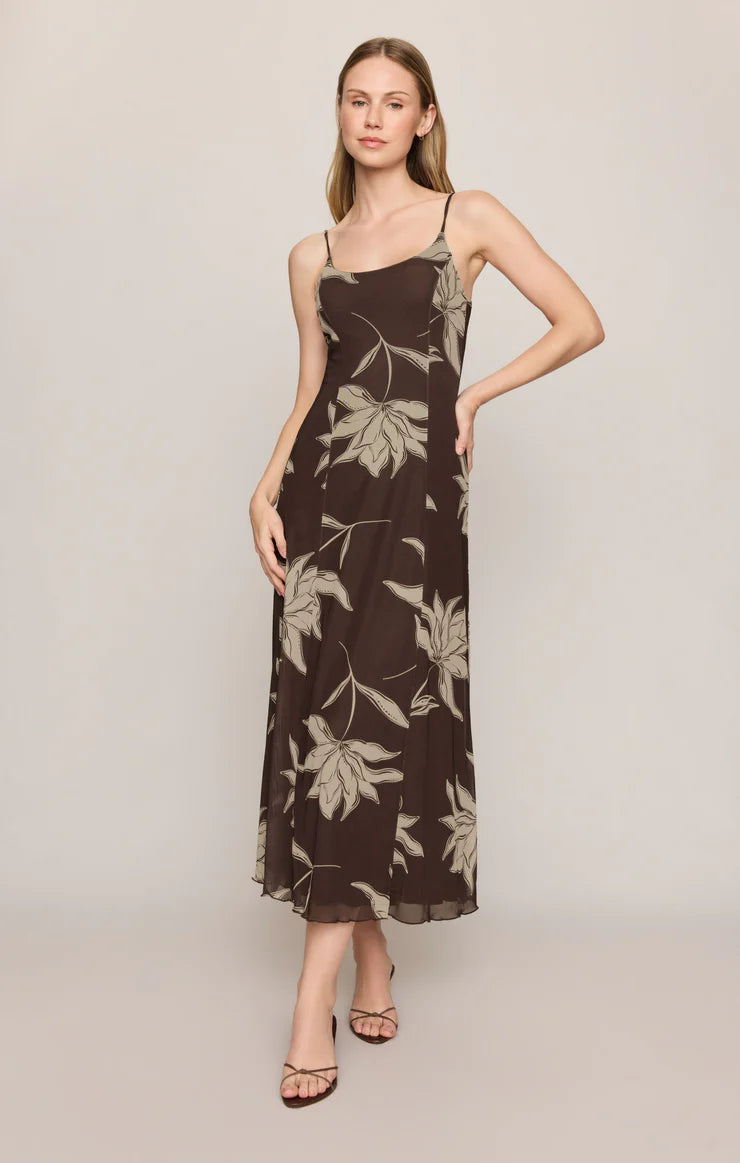 Z Supply Charisma  Dress