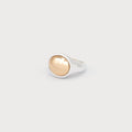 Caracol Sil/Gold Ring